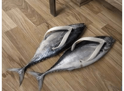 Fish Shoes